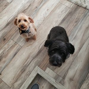 Meet your Posher, Kim